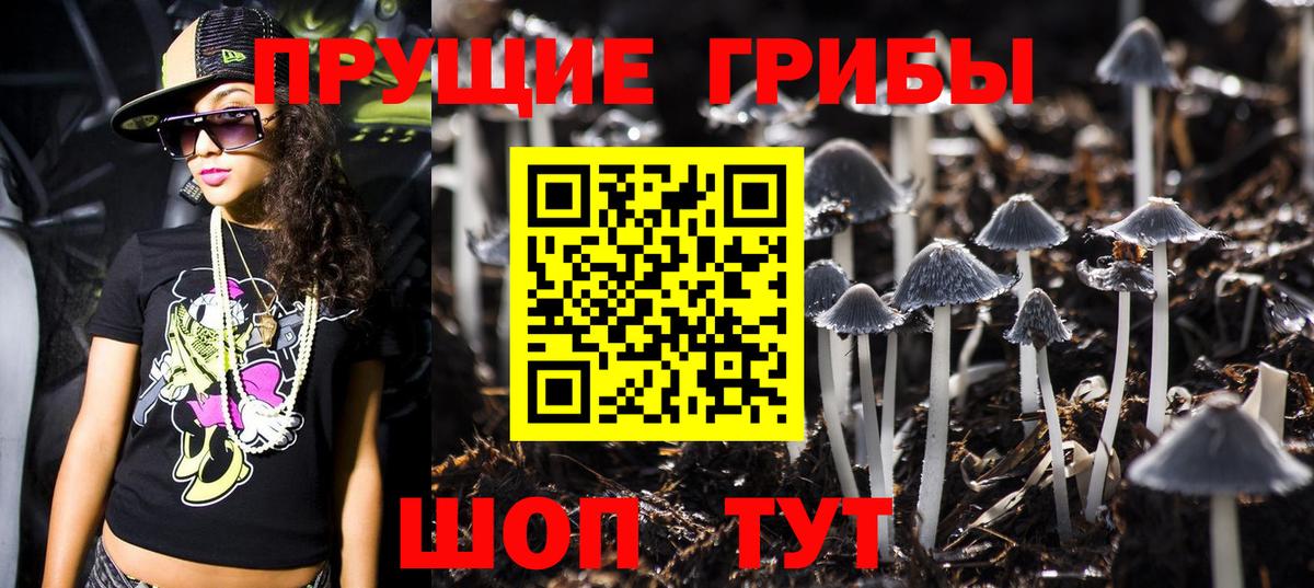 Псилоцибиновые грибы Magic Shrooms  Галлюциногенные грибы Psilocybe  Вход с VPN  Елабуга 